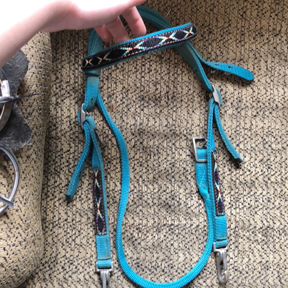 Turquoise Native American style bridle.